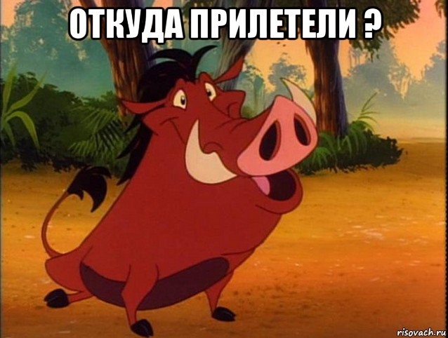 откуда прилетели ? , Мем пумба