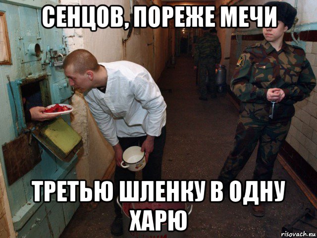 сенцов, пореже мечи третью шленку в одну харю