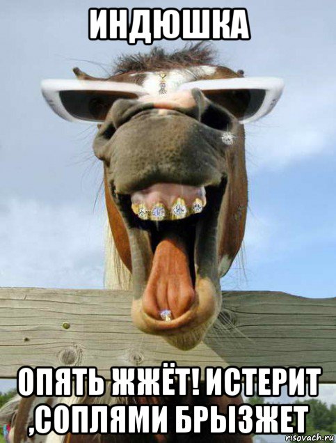 индюшка опять жжёт! истерит ,соплями брызжет, Мем Ржака