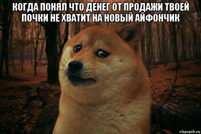 когда понял что денег от продажи твоей почки не хватит на новый айфончик , Мем SAD DOGE