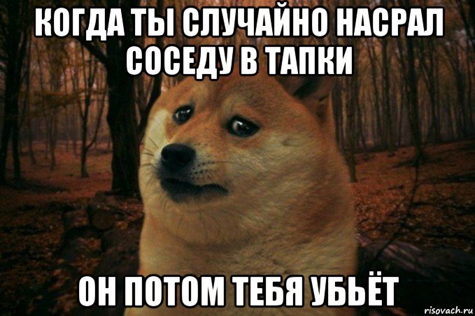 когда ты случайно насрал соседу в тапки он потом тебя убьёт, Мем SAD DOGE