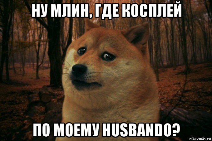 ну млин, где косплей по моему husbando?, Мем SAD DOGE