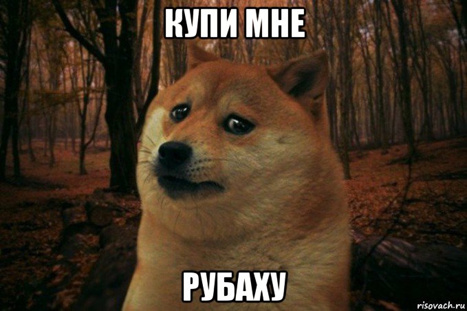 купи мне рубаху, Мем SAD DOGE