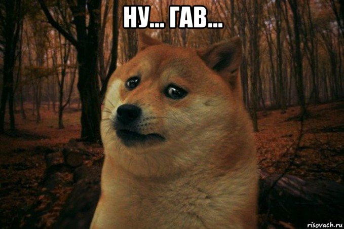 ну... гав... , Мем SAD DOGE