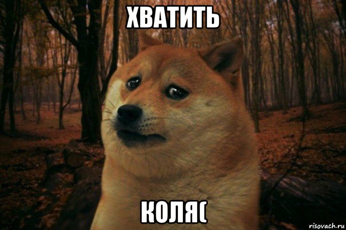 хватить коля(, Мем SAD DOGE