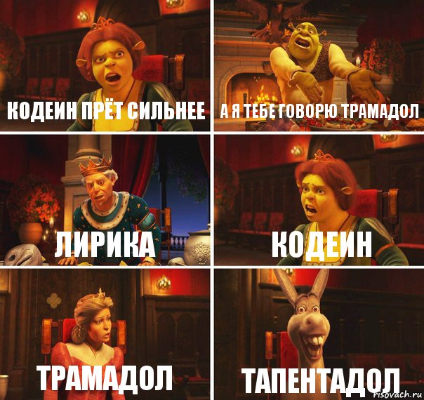 Кодеин прёт сильнее А я тебе говорю трамадол Лирика Кодеин Трамадол Тапентадол, Комикс  Шрек Фиона Гарольд Осел