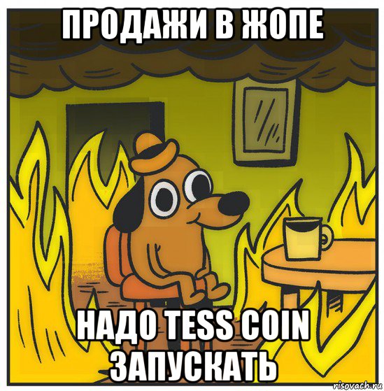 продажи в жопе надо tess coin запускать