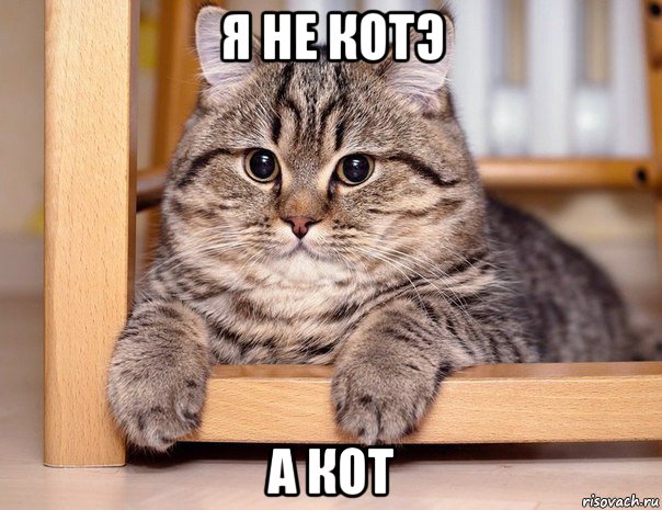 я не котэ а кот, Мем Соси писос