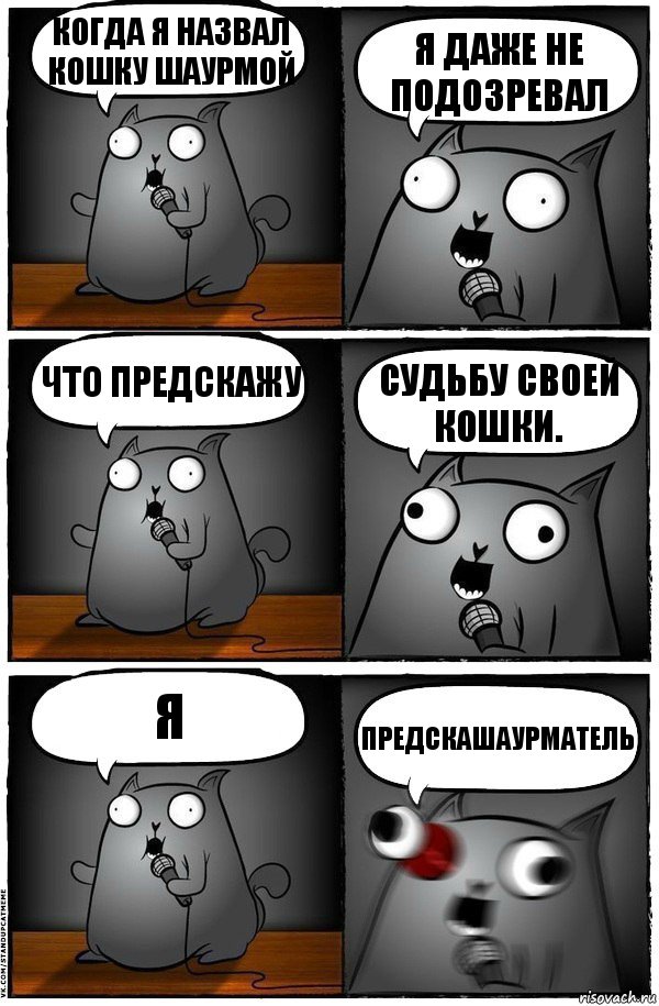 когда я назвал кошку шаурмой я даже не подозревал что предскажу судьбу своей кошки. я ПРЕДСКАШАУРМАТЕЛЬ