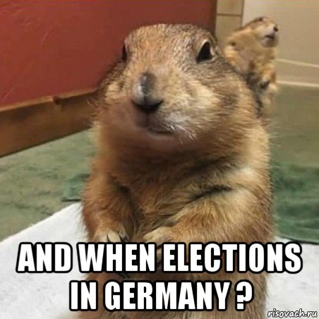  and when elections in germany ?, Мем Суслик спрашивает