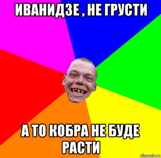иванидзе , не грусти а то кобра не буде расти