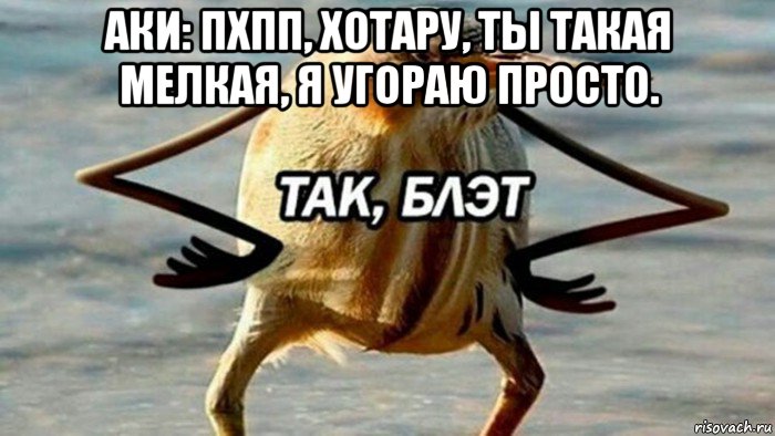 аки: пхпп, хотару, ты такая мелкая, я угораю просто. , Мем  Так блэт