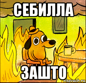 себилла зашто