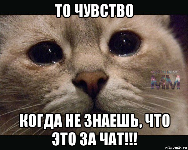 то чувство когда не знаешь, что это за чат!!!