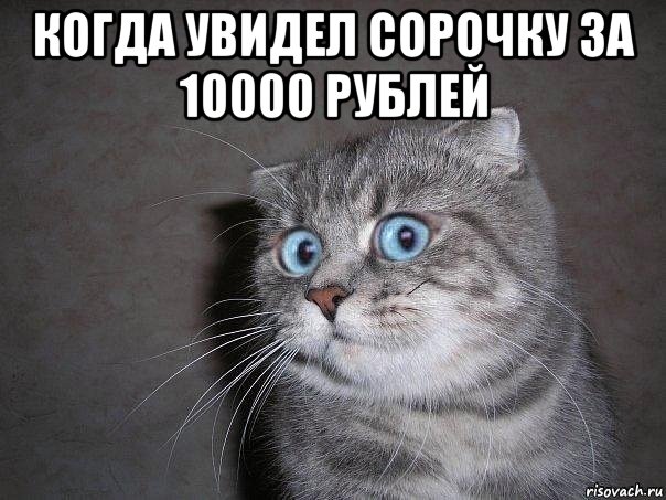 когда увидел сорочку за 10000 рублей , Мем  удивлённый кот