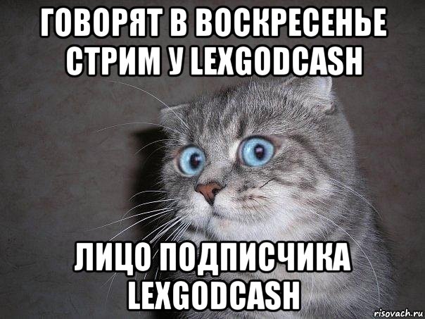 говорят в воскресенье стрим у lexgodcash лицо подписчика lexgodcash, Мем  удивлённый кот