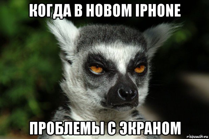 когда в новом iphone проблемы с экраном, Мем   Я збагоен