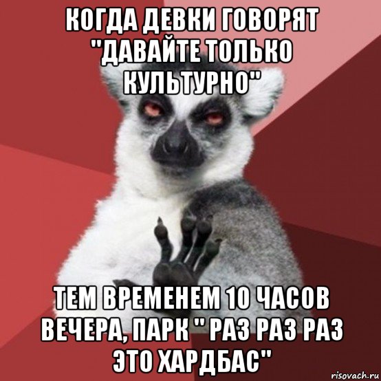 когда девки говорят "давайте только культурно" тем временем 10 часов вечера, парк " раз раз раз это хардбас", Мем Узбагойзя