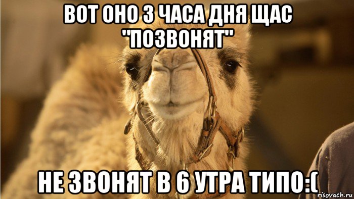 вот оно 3 часа дня щас "позвонят" не звонят в 6 утра типо:(