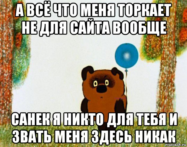 а всё что меня торкает не для сайта вообще санек я никто для тебя и звать меня здесь никак, Мем винни пух