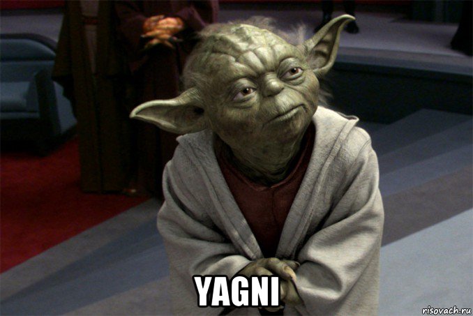  yagni