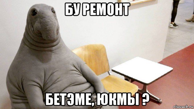 бу ремонт бетэме, юкмы ?