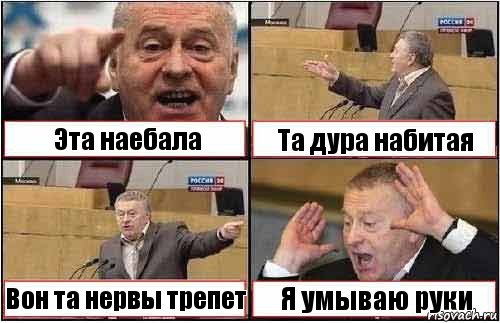 Эта наебала Та дура набитая Вон та нервы трепет Я умываю руки, Комикс жиреновский