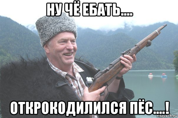 ну чё ебать.... открокодилился пёс....!