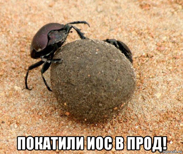  покатили иос в прод!