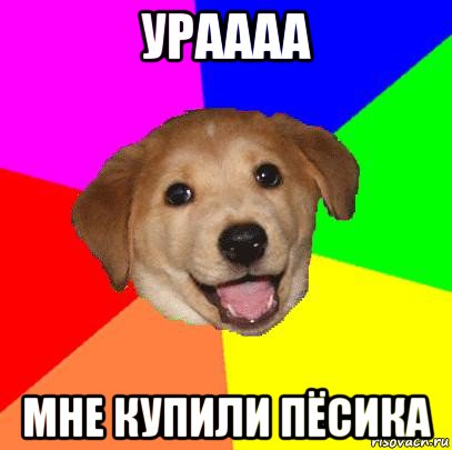 ураааа мне купили пёсика, Мем Advice Dog