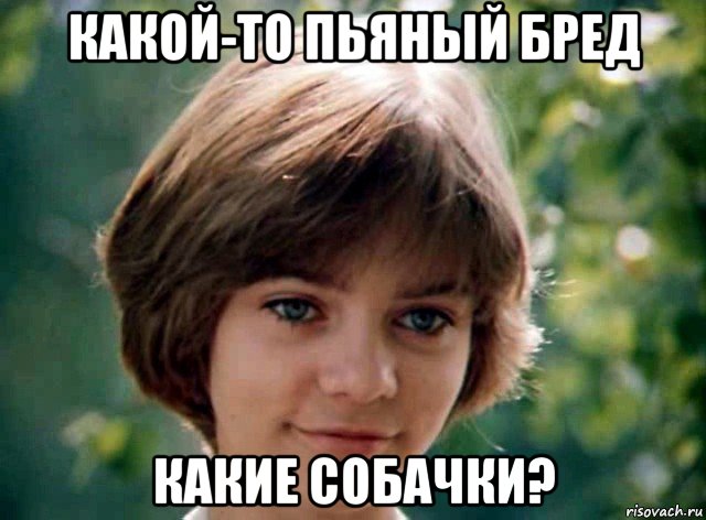 какой-то пьяный бред какие собачки?