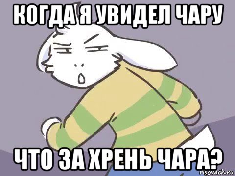 когда я увидел чару что за хрень чара?