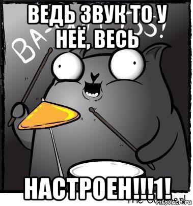 ведь звук то у неё, весь настроен!!!1!