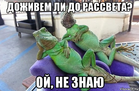 доживем ли до рассвета? ой, не знаю
