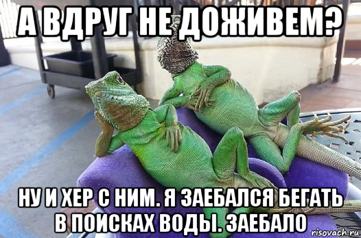 а вдруг не доживем? ну и хер с ним. я заебался бегать в поисках воды. заебало