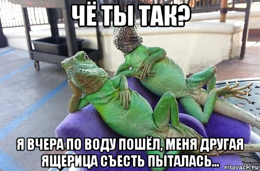чё ты так? я вчера по воду пошёл, меня другая ящерица съесть пыталась...