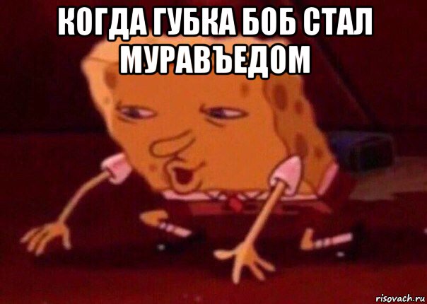 когда губка боб стал муравъедом , Мем    Bettingmemes