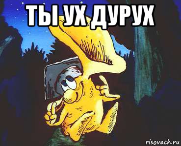 ты ух дурух 