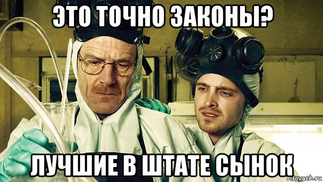 это точно законы? лучшие в штате сынок