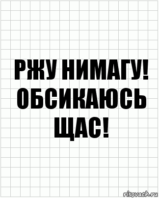 Ржу нимагу! Обсикаюсь щас!, Комикс  бумага