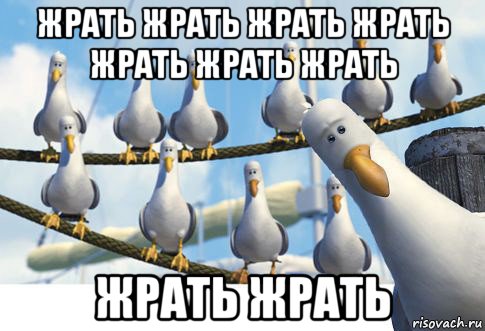 жрать жрать жрать жрать жрать жрать жрать жрать жрать