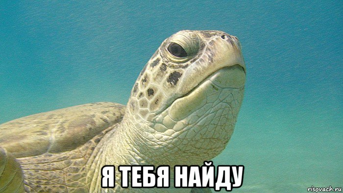  я тебя найду