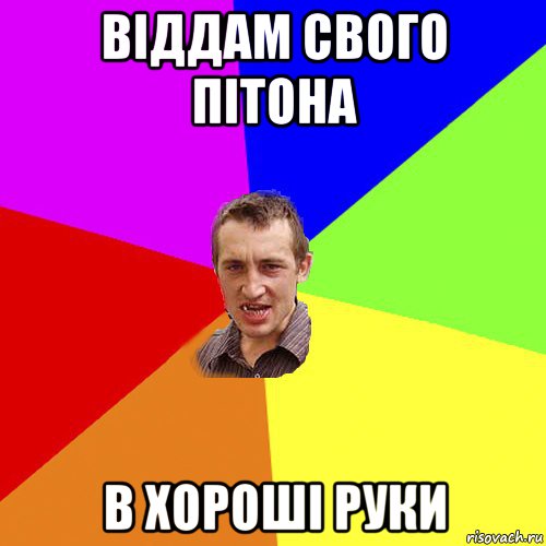 віддам свого пітона в хороші руки