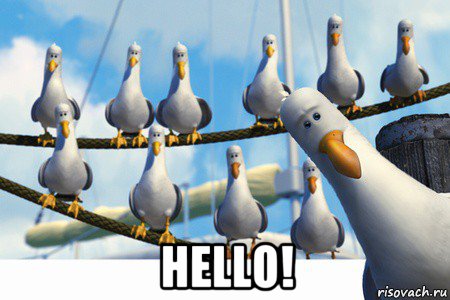  hello!