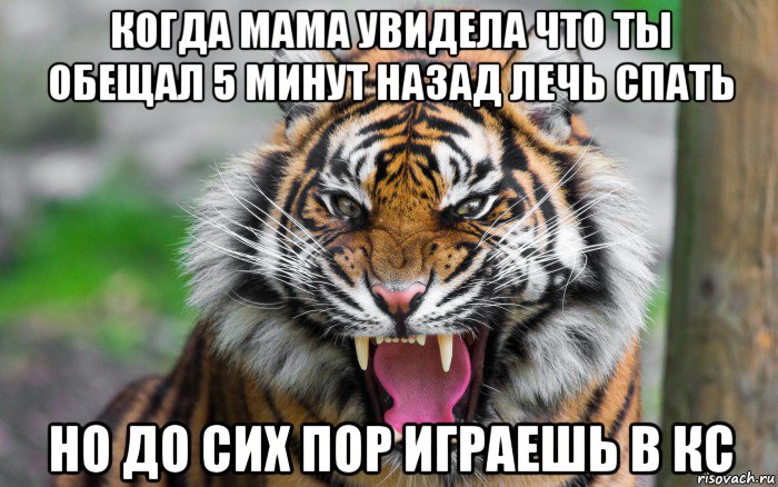 когда мама увидела что ты обещал 5 минут назад лечь спать но до сих пор играешь в кс