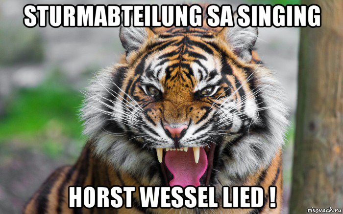 sturmabteilung sa singing horst wessel lied !