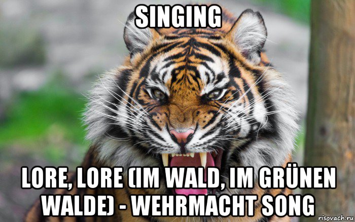 singing lore, lore (im wald, im grünen walde) - wehrmacht song, Мем ДЕРЗКИЙ ТИГР