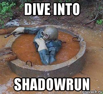 dive into shadowrun, Мем Dive into