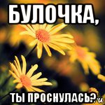 булочка, ты проснулась?, Мем Доброе утро Иришка