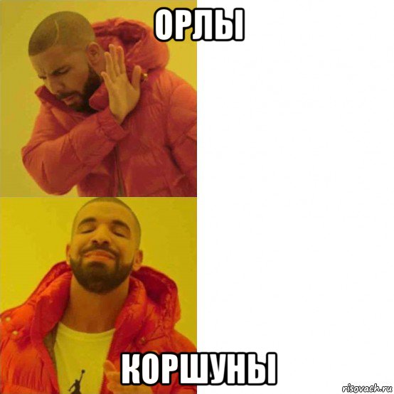 орлы коршуны